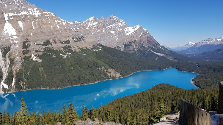 Lac Peyto